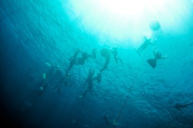 Mavi delik derinliği serbest dalış eğitimi