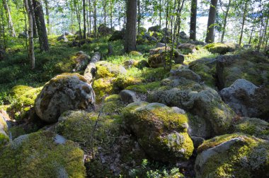 Karelya Adaları tabanının büyük kayalar vardır