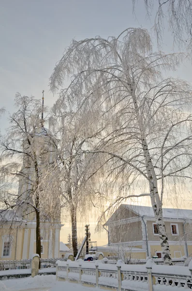 Winter frozen tree with church at the background — Stock Photo, Image