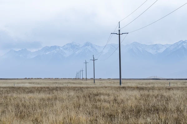 Electrical lines and pillars across the wild plain of upper Tibe — Stock Photo, Image