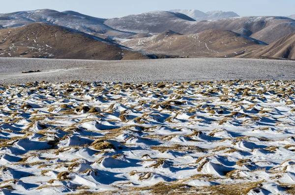 Снежный пейзаж на большой высоте Тибетского горного перевала — стоковое фото