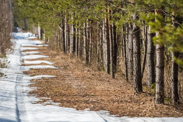 Bilen leden försvinner på en smältande snö väg — Stockfoto