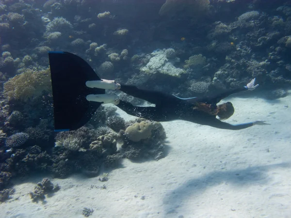 Dziewczyny piękne freediver pływa wzdłuż rafy koralowej — Zdjęcie stockowe