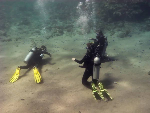 Трое дайверов тренируются на дне моря — стоковое фото