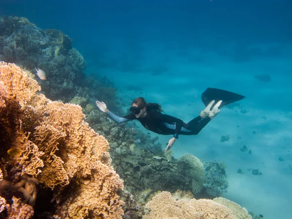 Dziewczyny piękne freediver wznosi się wzdłuż rafy koralowej — Zdjęcie stockowe