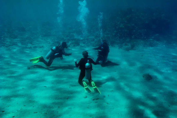 Três mergulhadores estão treinando no fundo do mar — Fotografia de Stock