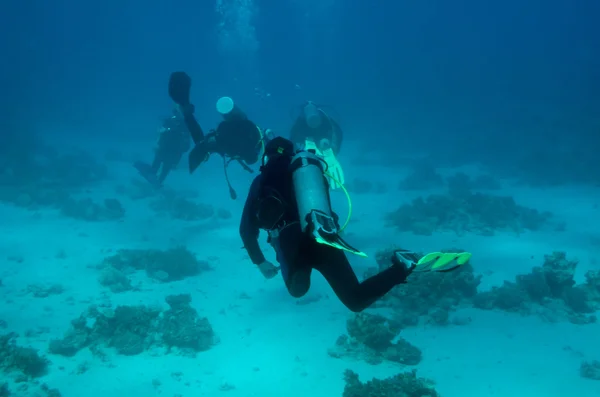 Skupina potápěčů vzdaluje fotoaparátu — Stock fotografie