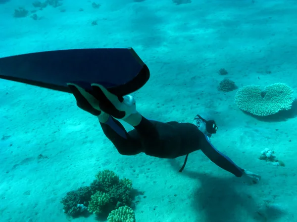 Freediver znalazł coral-serce na dnie morza — Zdjęcie stockowe