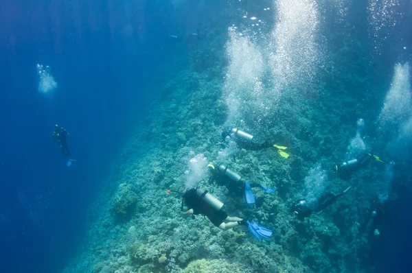 Um grupo de mergulhadores subaquáticos está se movendo ao longo do recife — Fotografia de Stock
