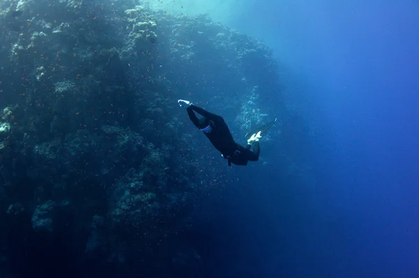 Freediver se mueve bajo el agua a lo largo del arrecife de coral — Foto de Stock