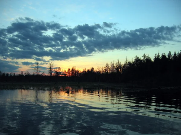 Zonsondergang en Karelië de forest — Stockfoto