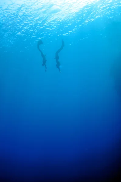 Romantyczne jednoczesne nurkowanie w głębię — Zdjęcie stockowe