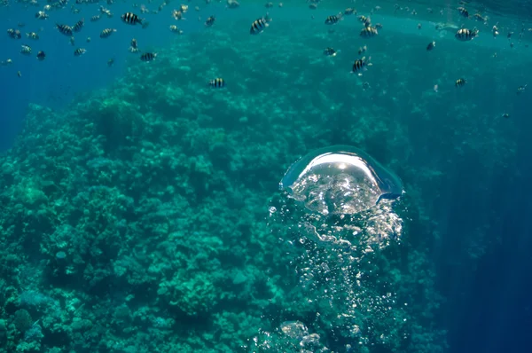 Sollevare bolle sottomarine nel mare blu — Foto Stock