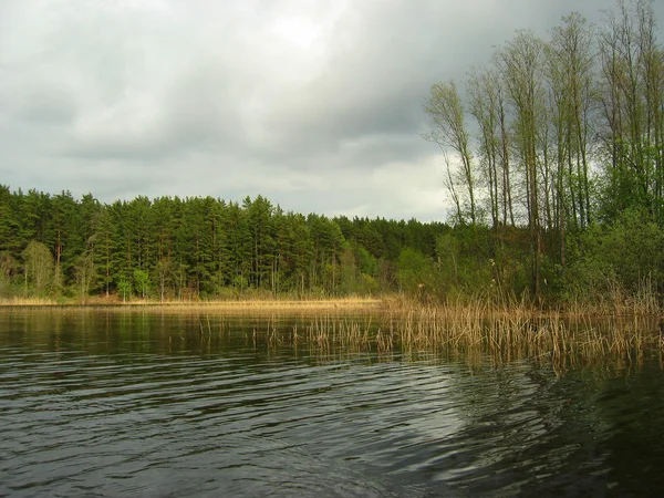 A vista do lago seliger — Fotografia de Stock