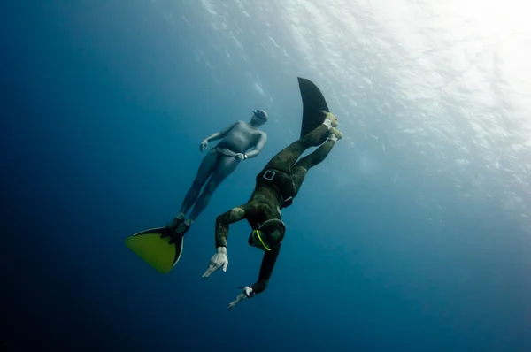 Two freedivers have fun in the depth — Stock Photo, Image