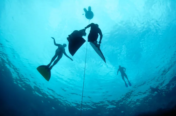 Treinamento de mergulho livre na profundidade do buraco azul — Fotografia de Stock