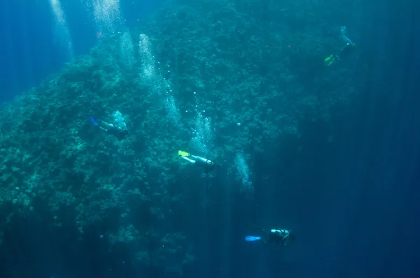 Un grupo de buceadores submarinos se está moviendo a lo largo del arrecife — Foto de Stock