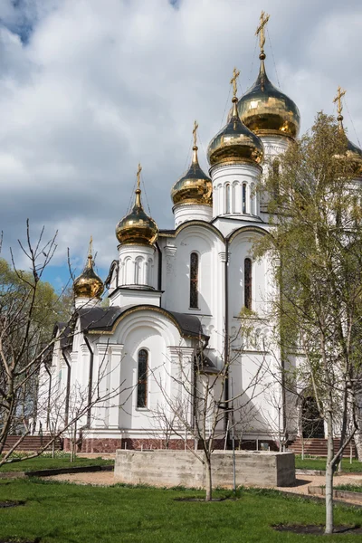 Kathedraal van Saint Nicholas (Nikolsky) vanuit voorjaar tuin oogpunt — Stockfoto