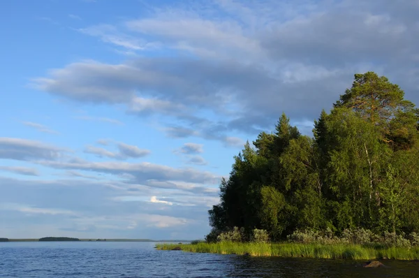 巨大な湖の北部の森島 — ストック写真