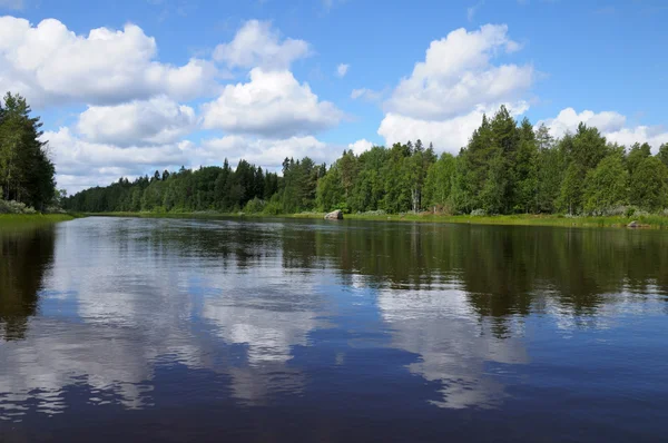 Hermoso bosque y lago de Carelia — Foto de Stock