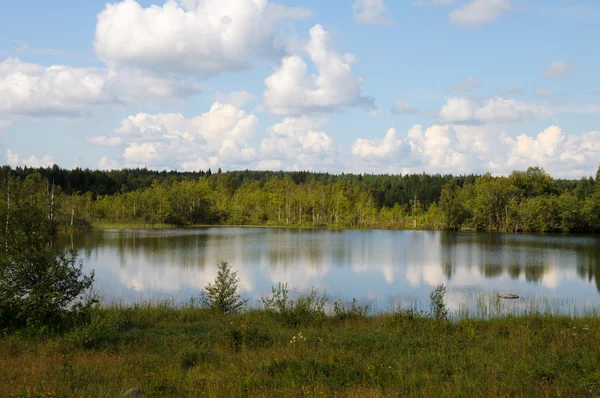 Karelské divoké jezero v lese — Stock fotografie