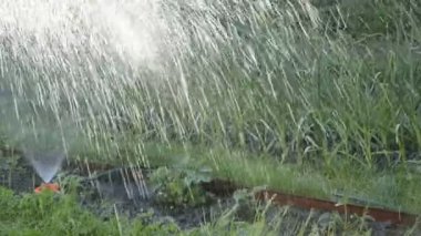 Güneş ışınları püskürtme su damlaları