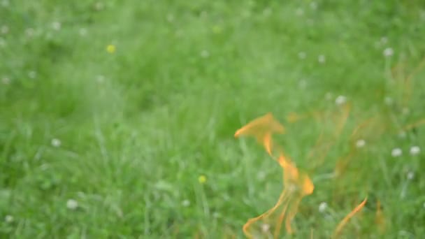 Vista de cerca de las lenguas de fuego en la barbacoa del jardín — Vídeo de stock