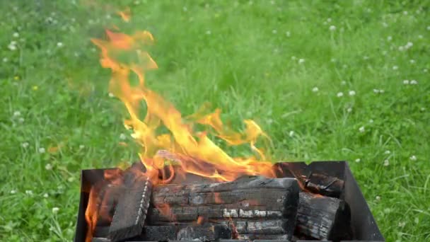 Közelkép a tűz nyelv és firewoods, a kerti grillező — Stock videók