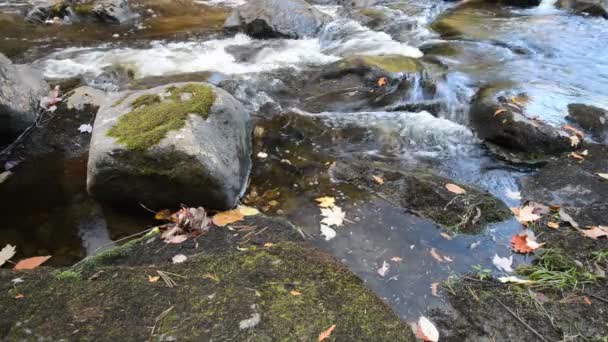 Vista de cerca de un cauce pedregoso y un arroyo plateado — Vídeos de Stock