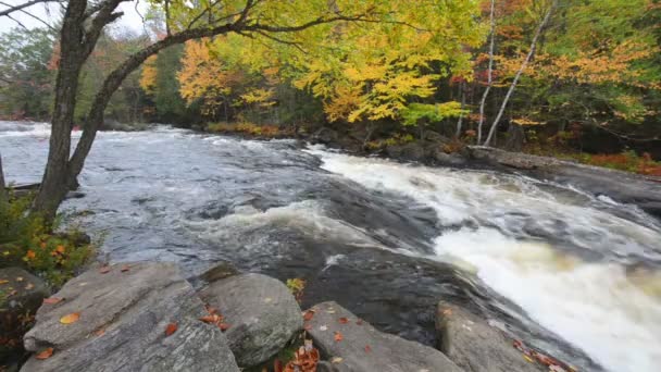 Riesige Felsbrocken und bunter Herbstwald am Flussufer — Stockvideo