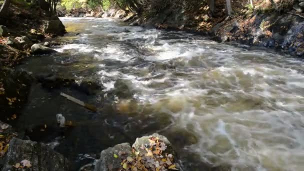 Een kleine ingeschuimde rivier stroomt door zonnige steenachtige rivierbedding — Stockvideo