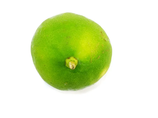 Limão verde sobre fundo branco — Fotografia de Stock