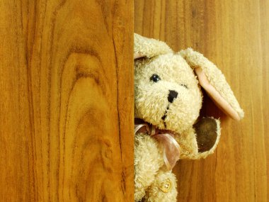 sevimli tavşan bebek eski ahşap arka plan ve alanı kopyası