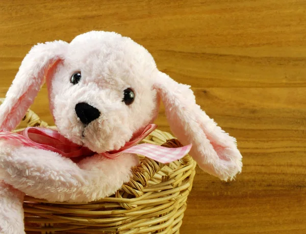 Boneca de cachorro rosa na cesta com fundo de madeira — Fotografia de Stock