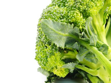 Brokoli beyaz arkaplanda izole edildi