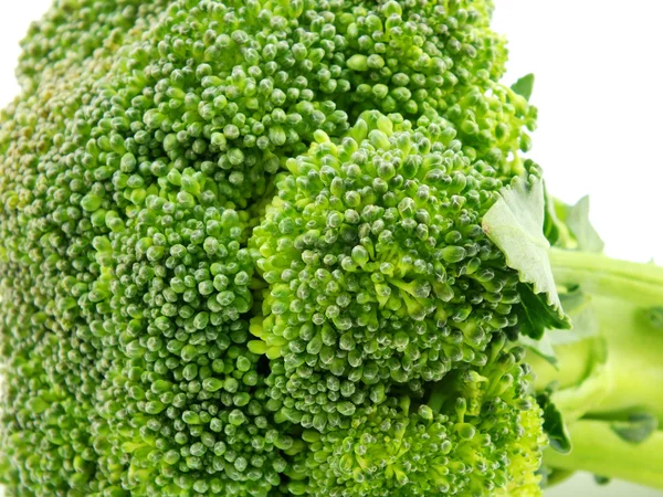 Brokkoli isoliert auf weißem Hintergrund — Stockfoto