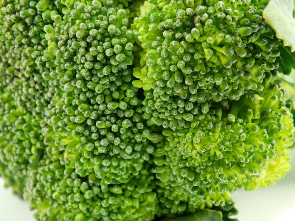 Grupa świeże brokuły z bliska — Zdjęcie stockowe