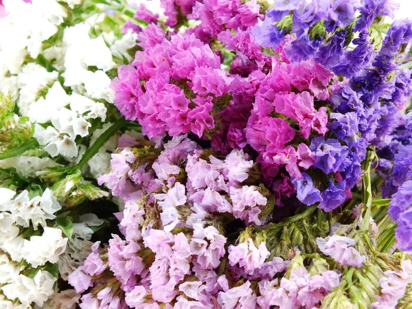 Beau bouquet de fleurs statice — Photo