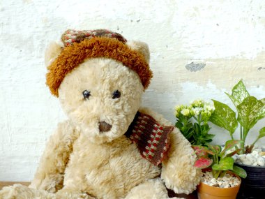 yeşil bitki tahta masada oturan bir oyuncak ayı