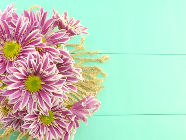 A krizantém szép rózsaszín virágok csokor kék háttér — Stock Fotó