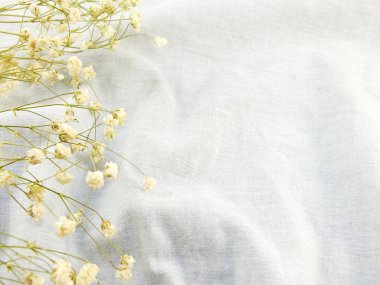 kumaş zemin üzerine kuru çiçekler