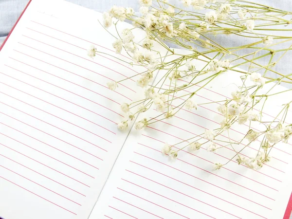 Prázdný papír a suché květiny — Stock fotografie