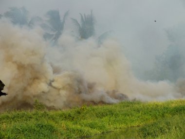 bir alan ve kalın bulutlar yanan yükselen gökyüzü duman duman ve ateş