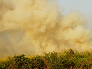 bir alan ve kalın bulutlar yanan yükselen gökyüzü duman duman ve ateş