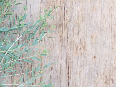 yeşil ile ahşap arka plan doku bırakın