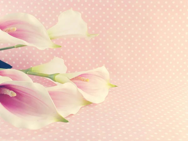 아름 다운 칼라 꽃 인공 꽃 꽃다발 — 스톡 사진