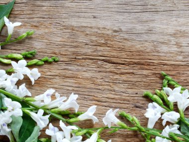 Tahta arka planda bahar çiçekleri