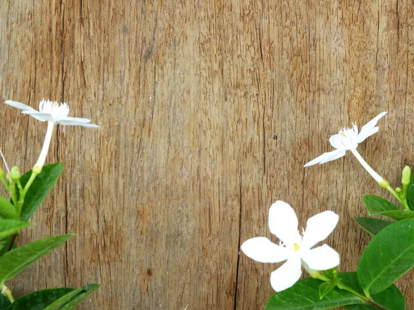 Fleurs blanches sur fond en bois — Photo