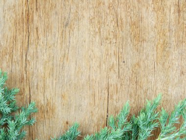 Eski ahşap arka planda yeşil yapraklar