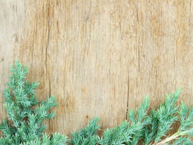 Eski ahşap arka planda yeşil yapraklar